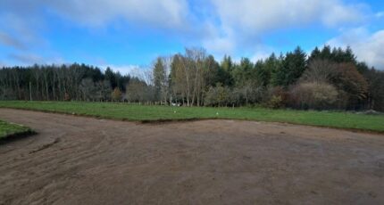 Le Palais-sur-Vienne Terrain à bâtir - 2476143-11821annonce220260403AZy5F.jpeg Maisons Open