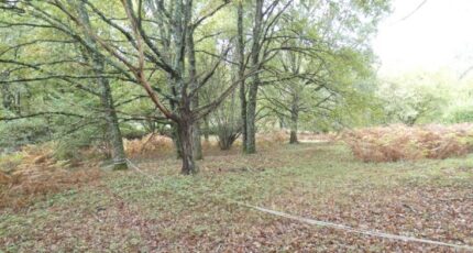 Panazol Terrain à bâtir - 2476171-11821annonce120260403icf9w.jpeg Maisons Open