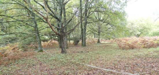 Terrain à bâtir à Panazol, Nouvelle-Aquitaine