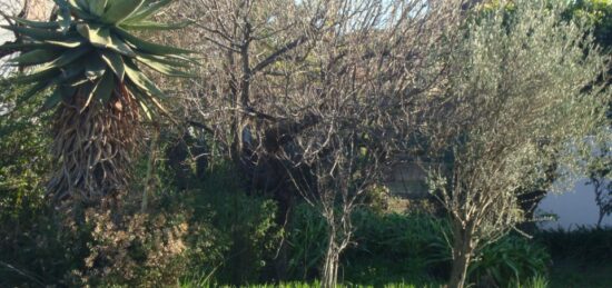 Terrain à bâtir à Pignans, Provence-Alpes-Côte d'Azur