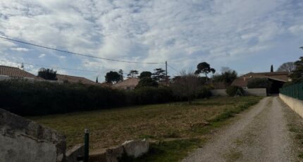 Saint-André-de-Sangonis Terrain à bâtir - 2444125-11455annonce120260228g0rQS.jpeg Maisons Open