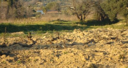 Pierrefeu-du-Var Terrain à bâtir - 2476355-11080annonce320260403NWQLL.jpeg Maisons Open