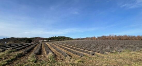 Terrain à bâtir à Roumoules, Provence-Alpes-Côte d'Azur