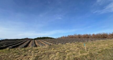 Roumoules Terrain à bâtir - 2476530-2970annonce120260404fSrzz.jpeg Maisons Open