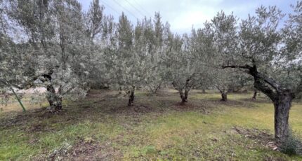 Manosque Terrain à bâtir - 2476572-2970annonce220260404g9JLW.jpeg Maisons Open