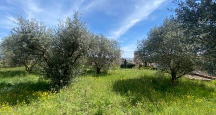 Sainte-Tulle Terrain à bâtir - 2476624-2970annonce120260404L0gM7.jpeg Maisons Open