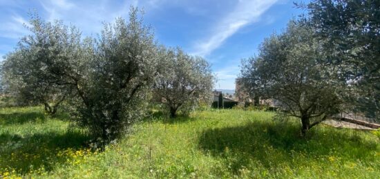 Terrain à bâtir à Sainte-Tulle, Provence-Alpes-Côte d'Azur