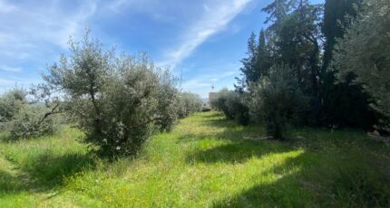 Sainte-Tulle Terrain à bâtir - 2476624-2970annonce220260404txep6.jpeg Maisons Open