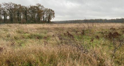 Pontarmé Terrain à bâtir - 2476647-4496annonce120251210TD3Ek.jpeg Maisons Open