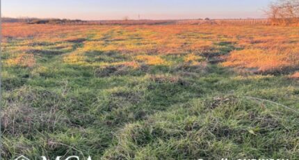 Cérons Terrain à bâtir - 2443664-3601annonce120260227LLB5D.jpeg Maisons Open