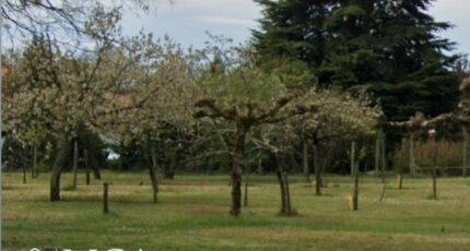 Beautiran Terrain à bâtir - 2443509-3601annonce120260227umiPk.jpeg Maisons Open