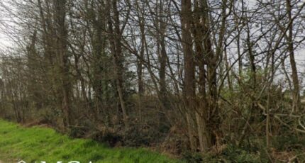 Fargues Terrain à bâtir - 2443901-3601annonce120260227MvNuL.jpeg Maisons Open