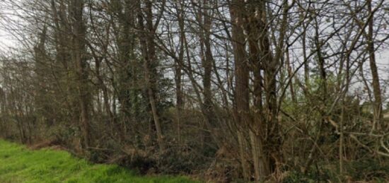 Terrain à bâtir à Fargues, Nouvelle-Aquitaine