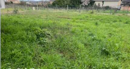 Ayguemorte-les-Graves Terrain à bâtir - 2443876-3601annonce120260227lJQVK.jpeg Maisons Open