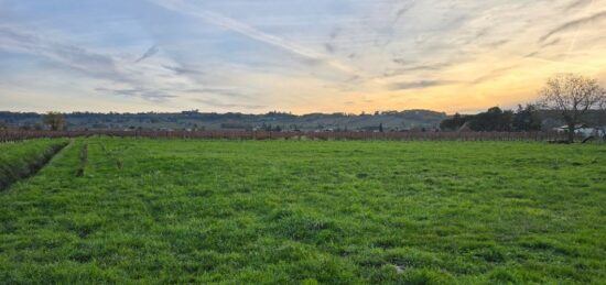 Terrain à bâtir à Saint-Laurent-des-Vignes, Nouvelle-Aquitaine