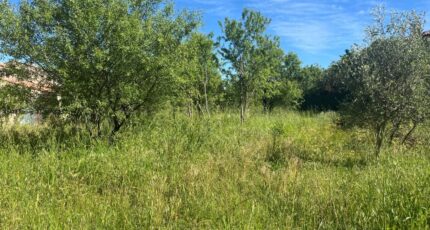 La Farlède Terrain à bâtir - 2395772-5622annonce320260116aZ6iC.jpeg Maisons Open