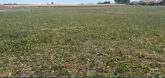 Terrain à bâtir à Mornac-sur-Seudre, Nouvelle-Aquitaine