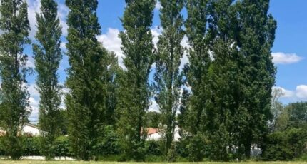 Beaulieu-sous-la-Roche Terrain à bâtir - 2477175-11796annonce1202604072h9y5.jpeg Maisons Open