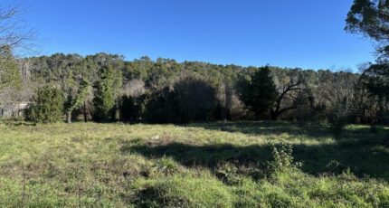 Carnoules Terrain à bâtir - 2417314-4590annonce120260203HDb40.jpeg Maisons Open