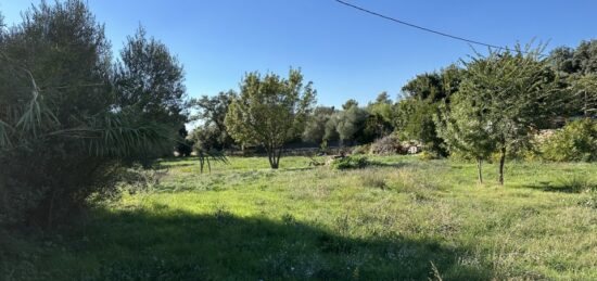 Terrain à bâtir à La Garde, Provence-Alpes-Côte d'Azur