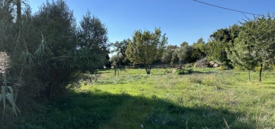 Terrain à bâtir à , Var