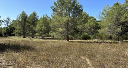 Méounes-lès-Montrieux Terrain à bâtir - 2417463-4590annonce120260203EwtEo.jpeg Maisons Open