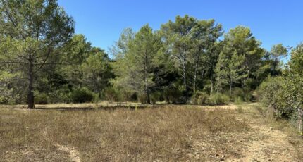 Méounes-lès-Montrieux Terrain à bâtir - 2417463-4590annonce220260203TqQ8L.jpeg Maisons Open