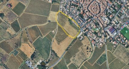 Alignan-du-Vent Terrain à bâtir - 2477212-10896annonce320260407EXWNF.jpeg Maisons Open