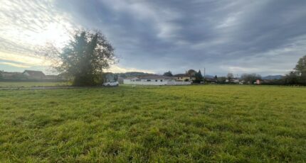 Juillan Terrain à bâtir - 2447839-902annonce2202603049iJFQ.jpeg Maisons Open