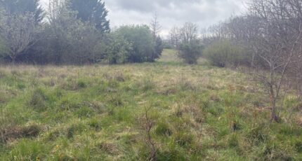 Bessières Terrain à bâtir - 2476066-11356annonce220260403TtXF3.jpeg Maisons Open