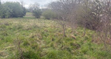 Bessières Terrain à bâtir - 2476066-11356annonce420260403GRIWU.jpeg Maisons Open