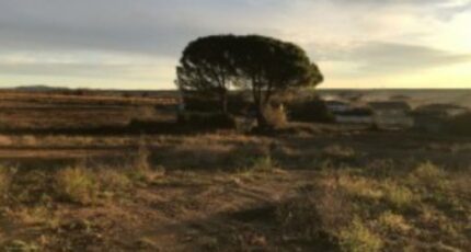 Autignac Terrain à bâtir - 2477355-11834annonce120260407oTDTg.jpeg Maisons Open