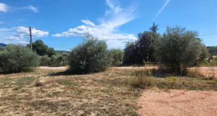 Barjols Terrain à bâtir - 2477529-10746annonce120250819rMNJM.jpeg Maisons Open