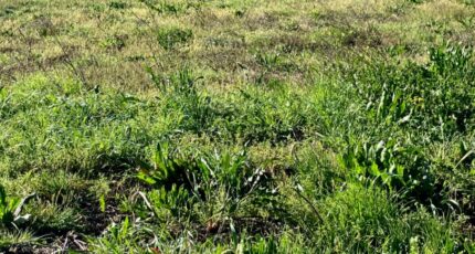 Grandjean Terrain à bâtir - 2472533-10974annonce2202603318kJaA.jpeg Maisons Open