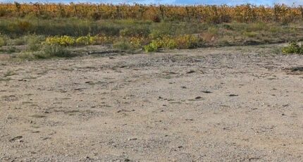 Pollestres Terrain à bâtir - 2410460-4671annonce120260128lg6zi.jpeg Maisons Open