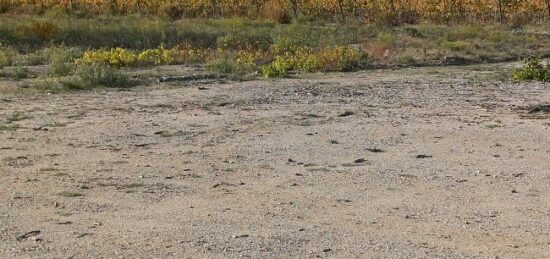 Terrain à bâtir à Pollestres, Occitanie