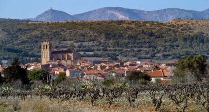 Baixas Terrain à bâtir - 2410543-4671annonce1202601285MSph.jpeg Maisons Open