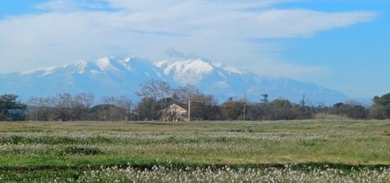 Terrain à bâtir à Villeneuve-de-la-Raho, Occitanie