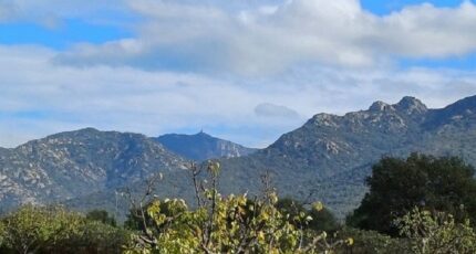 Villelongue-dels-Monts Terrain à bâtir - 2444715-4671annonce1202603021MZpy.jpeg Maisons Open