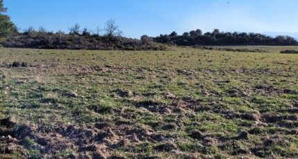 Pollestres Terrain à bâtir - 2448298-4671annonce120260305dT18e.jpeg Maisons Open