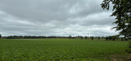Terrain à bâtir à Monchy-le-Preux, Hauts-de-France