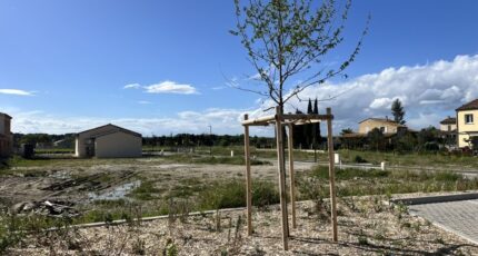 Courthézon Terrain à bâtir - 2418836-3418annonce320260204IsprW.jpeg Maisons Open