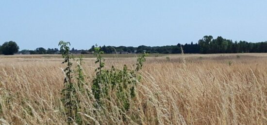 Terrain à bâtir à Reugny, Centre-Val de Loire