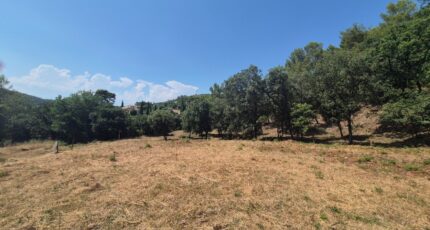 Taradeau Terrain à bâtir - 2478552-10152annonce1202506303rhT1.jpeg Maisons Open