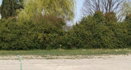 Oraison Terrain à bâtir - 2478652-9917annonce120260408kOmvO.jpeg Maisons Open