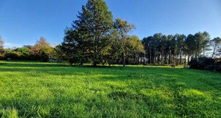 Uzeste Terrain à bâtir - 2478489-10677annonce120260408w9eU1.jpeg Maisons Open