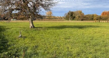 Sainte-Florence Terrain à bâtir - 2478722-7300annonce120251114Tnbd3.jpeg Maisons Open