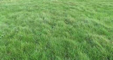 Lissy Terrain à bâtir - 2478789-4353annonce120260408oxXrm.jpeg Maisons Open