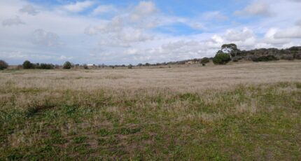 Bessan Terrain à bâtir - 2479039-11040annonce120260408fpXSL.jpeg Maisons Open