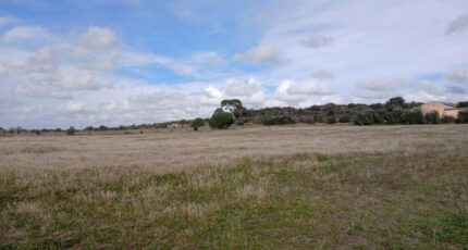 Bassan Terrain à bâtir - 2479087-11040annonce120260408h0XTe.jpeg Maisons Open